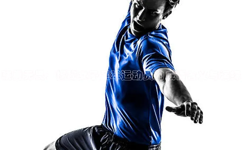 门徒平台官网百度翻译