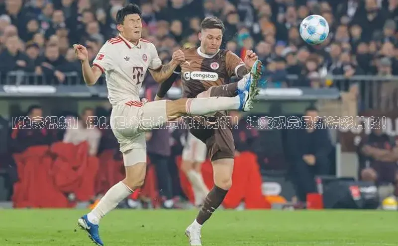 门徒娱乐平台登录入口京东