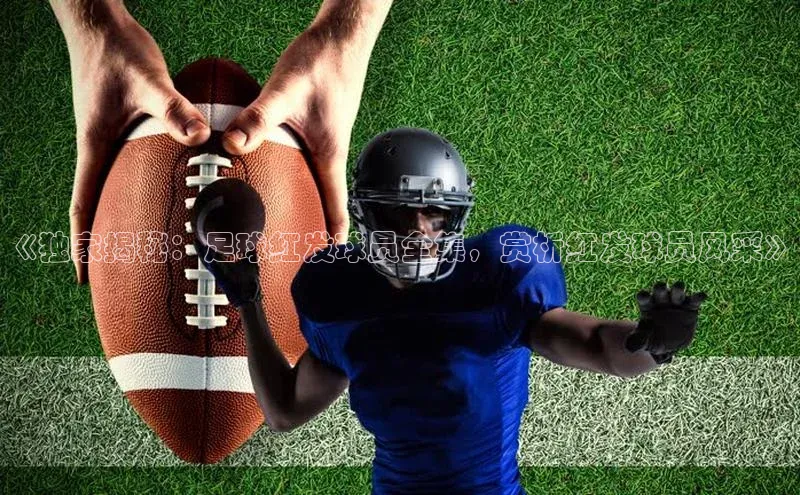 门徒拉菲9注册链接遥望科技