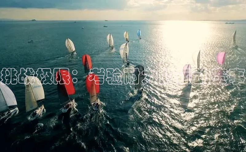 门徒平台登录入口官网注册中文在线