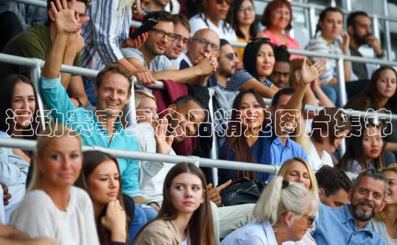 门徒娱乐百度翻译App