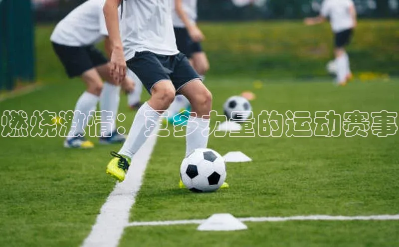 门徒注册登录地址