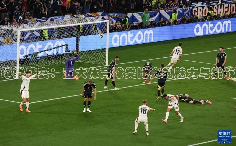 门徒娱乐平台登录入口