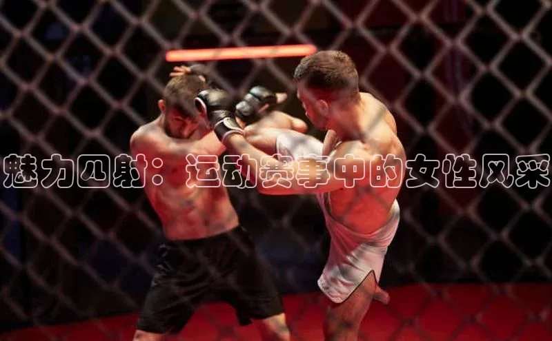 门徒注册登录地址