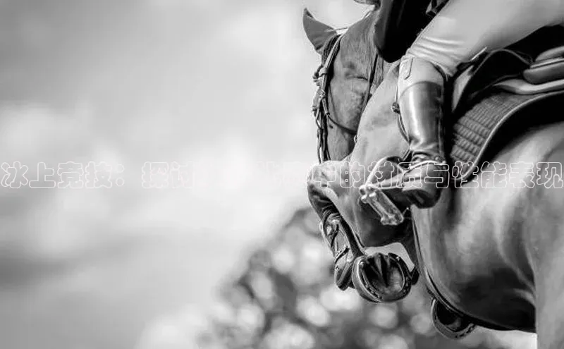 门徒注册登录地址