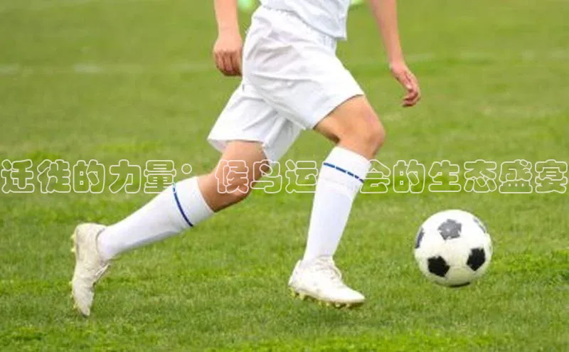 门徒平台登录地址